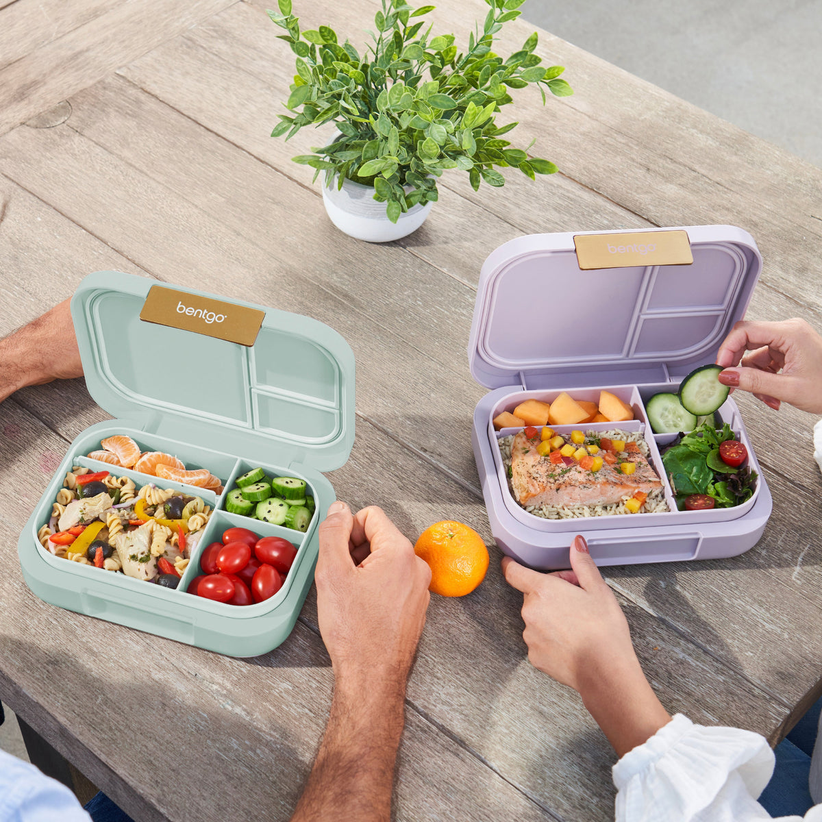 bentgo-modern-lunch-box-2-pack-s4 COSTCOBMCPRODUCTIMAGE_2.jpg